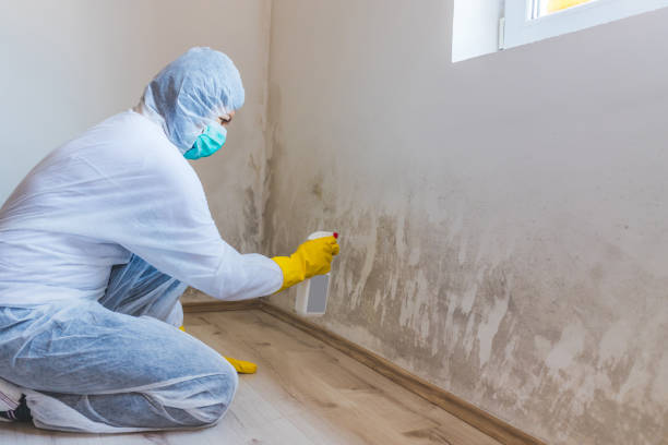 Mold inspector in Newport performing thermal imaging